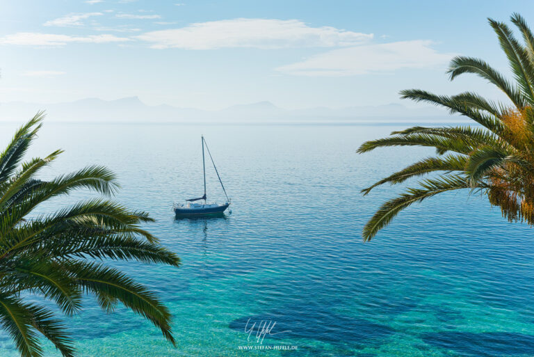 Sea view through palm trees, Alcanada, Mallorca, Spain