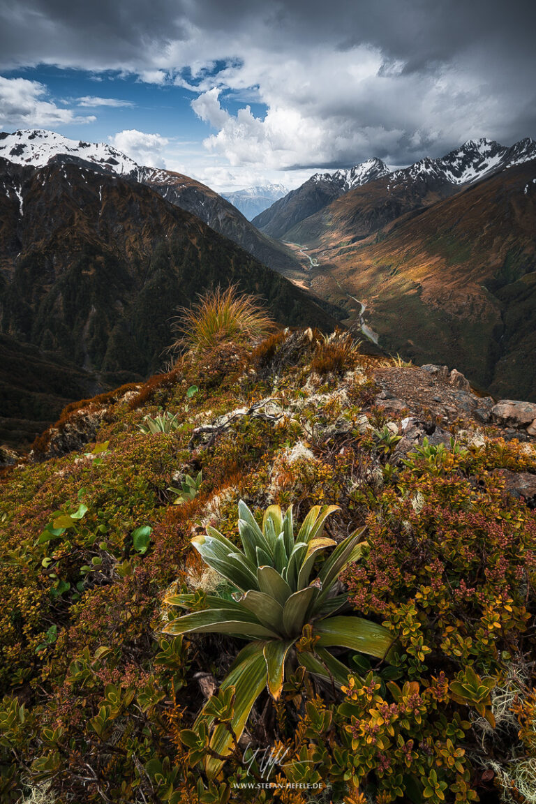 Landschaftsbilder Neuseeland - Landschaftsfotografie