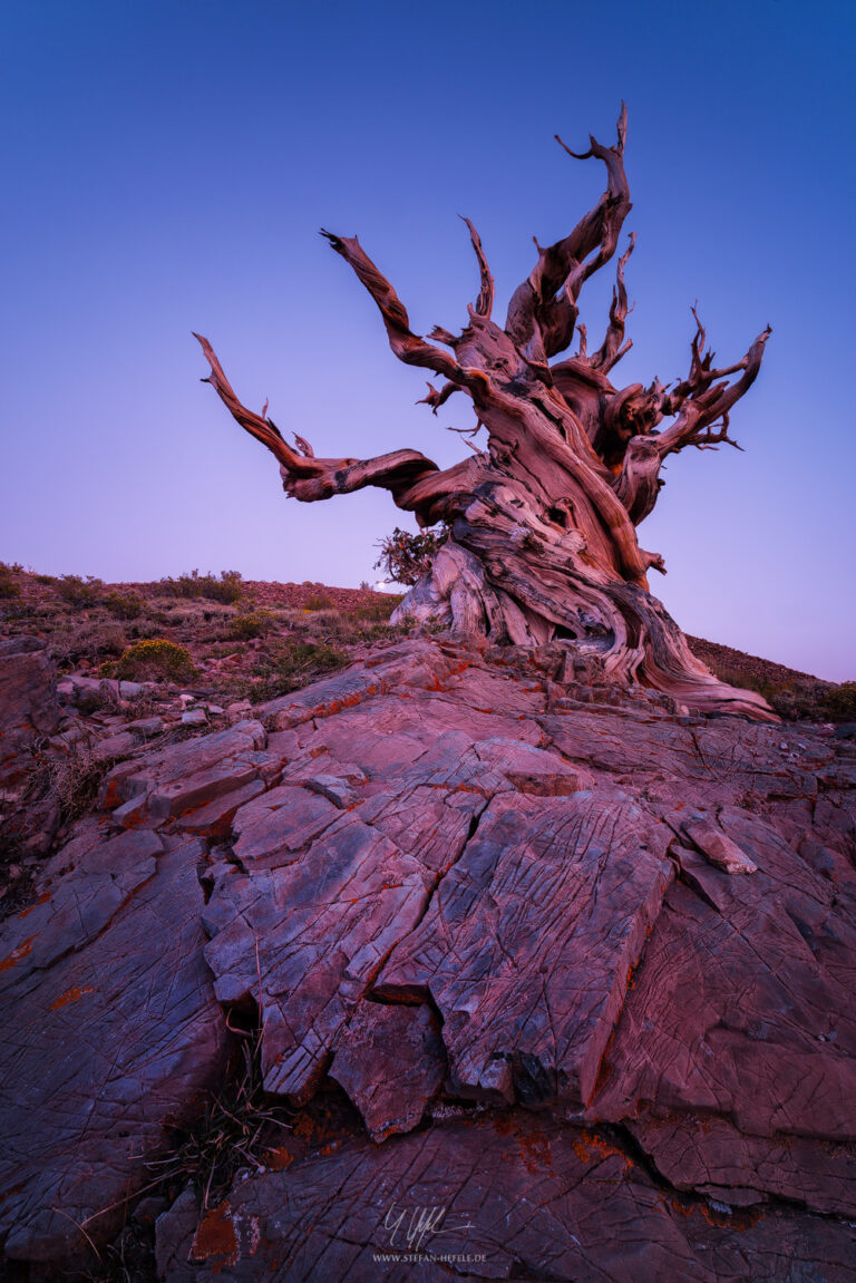 Landschaftsbilder USA - Landschaftsfotografie