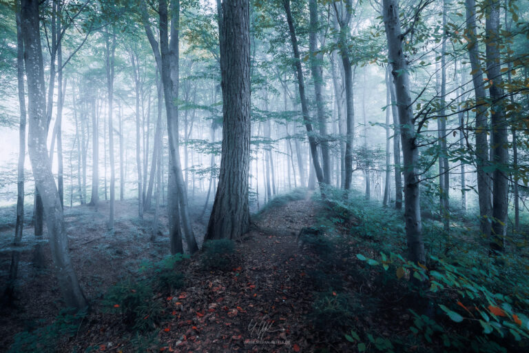 Landschaftsbilder Bayern - Landschaftsfotografie