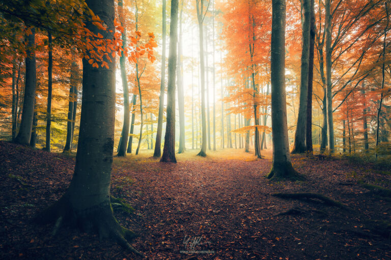 Landscapes Bavaria - Landscape Photography