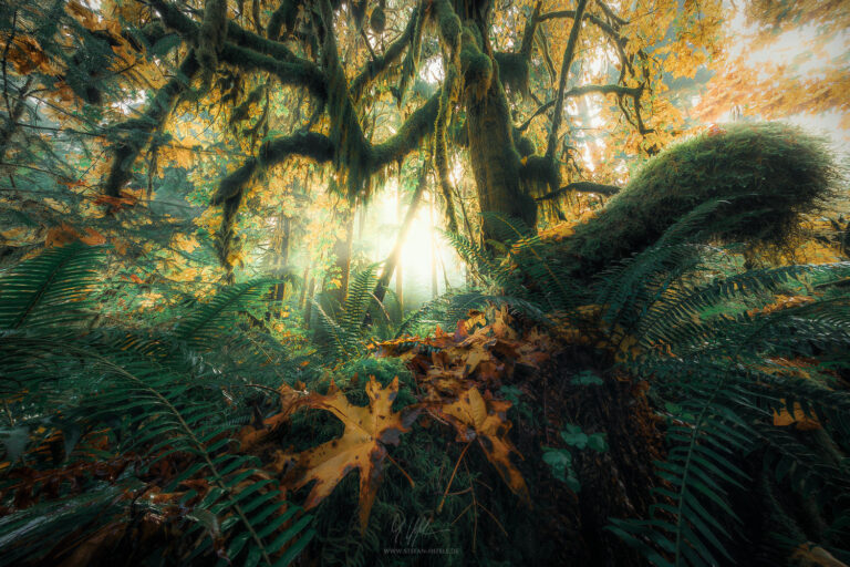 Lieblingsbilder Stefan Hefele - Landschaftsfotografie