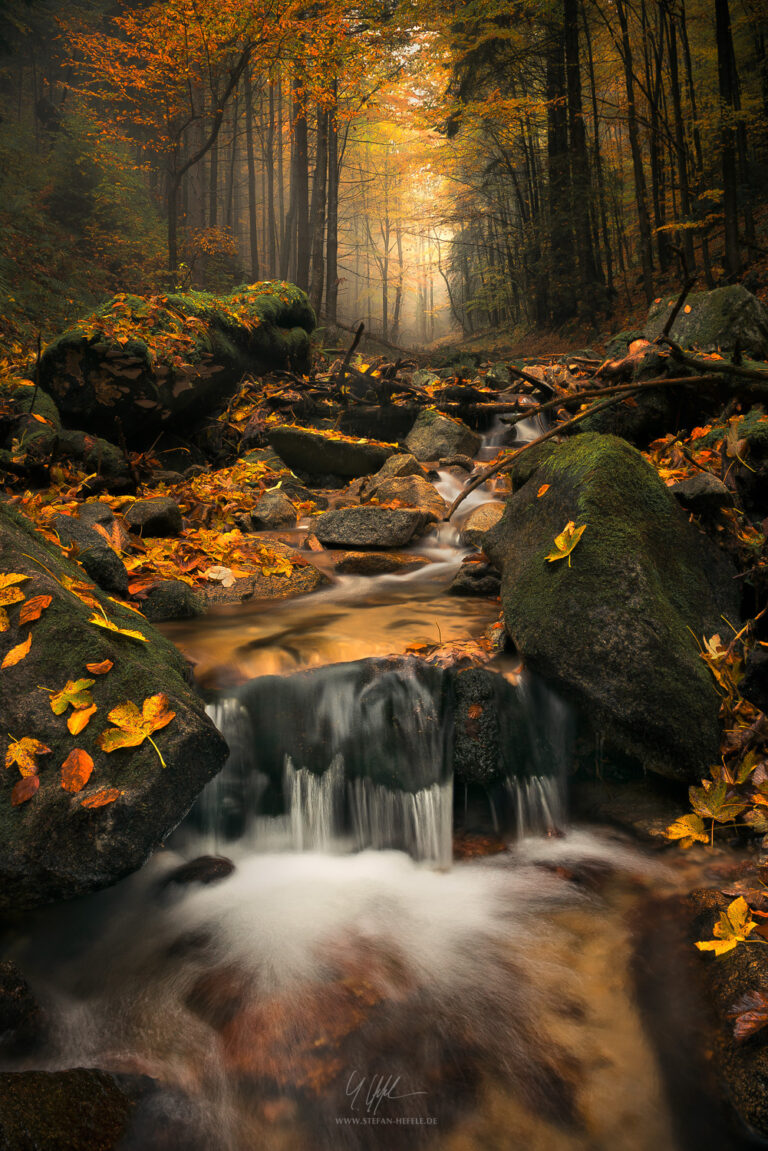 Carpathian Mountains