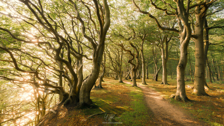 Landschaftsbilder Dänemark - Landschaftsfotografie