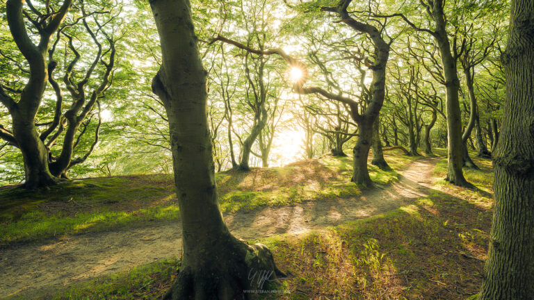 Landscapes Denmark - Landscape Photography