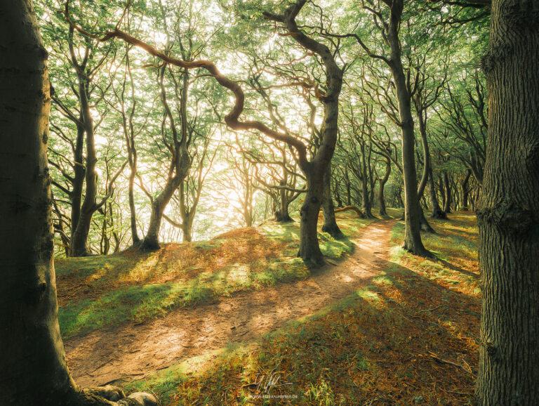 Landschaftsbilder Dänemark - Landschaftsfotografie