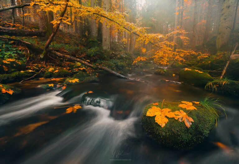 Favourite Pictures Stefan Hefele - Landscape Photography