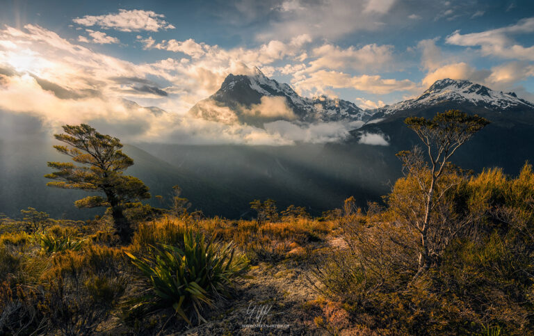 Landscapes New Zealand - Landscape Photography