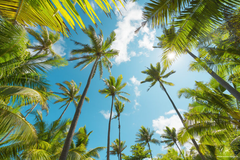 Landschaftsbilder von den traumhaften Fiji Inseln - Landschaftsfotografie