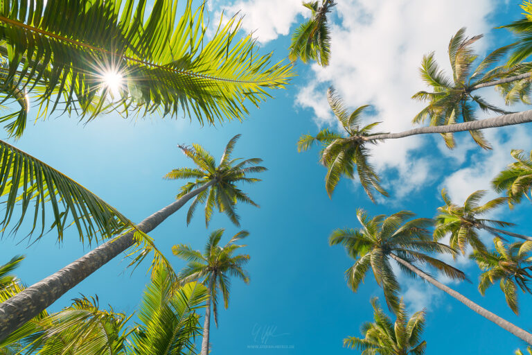 Landschaftsbilder von den traumhaften Fiji Inseln - Landschaftsfotografie