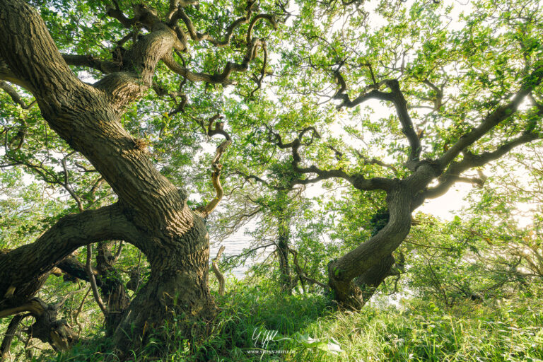 Landscapes Denmark - Landscape Photography