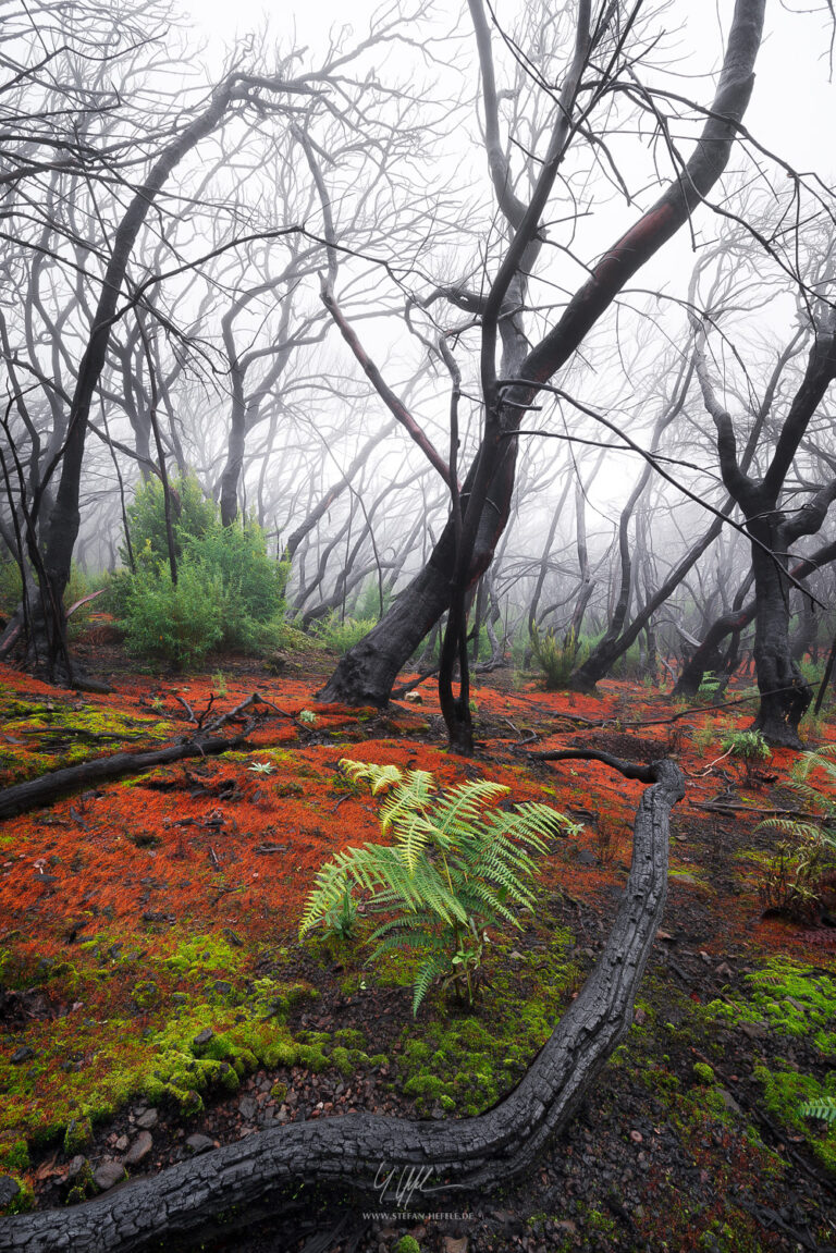 Landscapes La Gomera - Landscape Photography