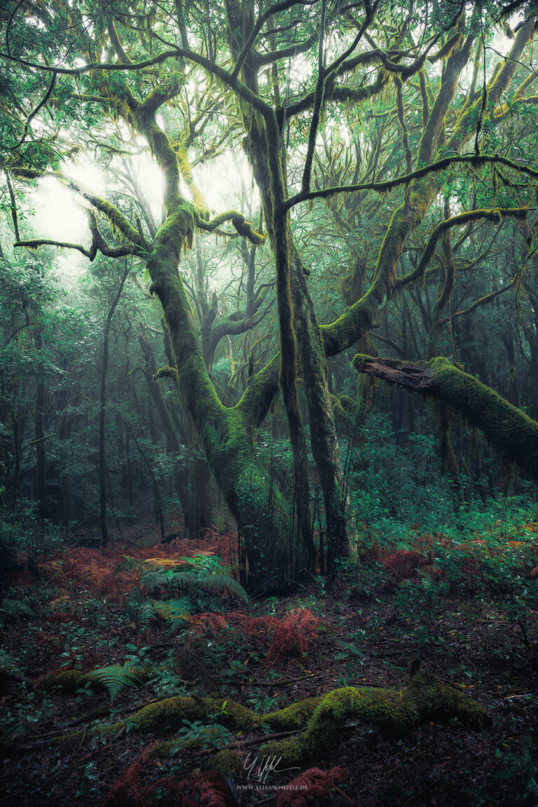 Landscapes La Gomera - Landscape Photography