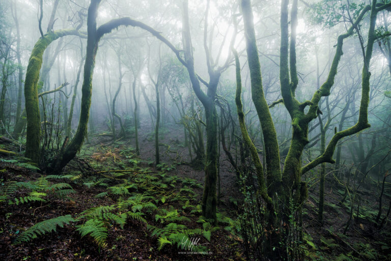 Landschaftsbilder La Gomera - Landschaftsfotografie