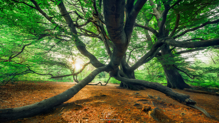 Landscapes Germany - Landscape Photography