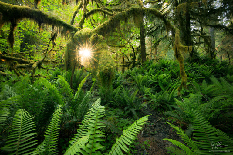 Landschaftsbilder USA - Landschaftsfotografie