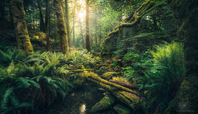 Lieblingsbilder Stefan Hefele - Landschaftsfotografie