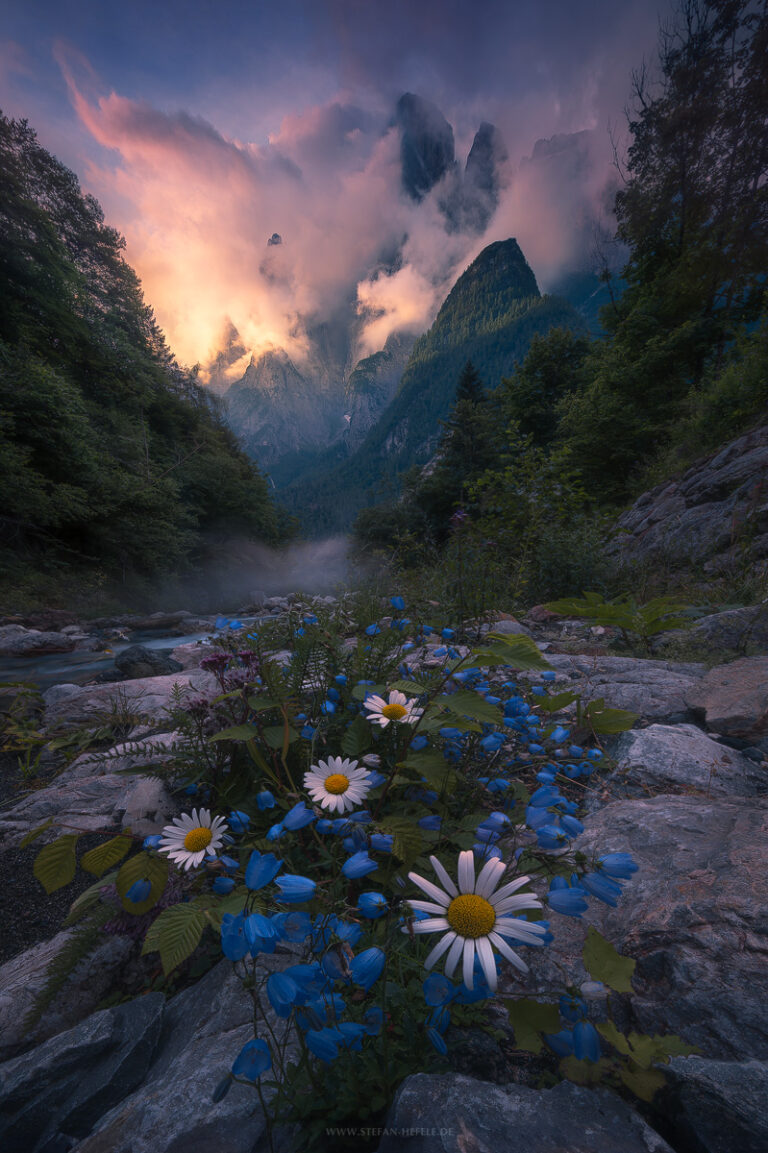 Unknown valley in the southern Dolomites with mighty mountains in a wild atmosphere and flower arrangements