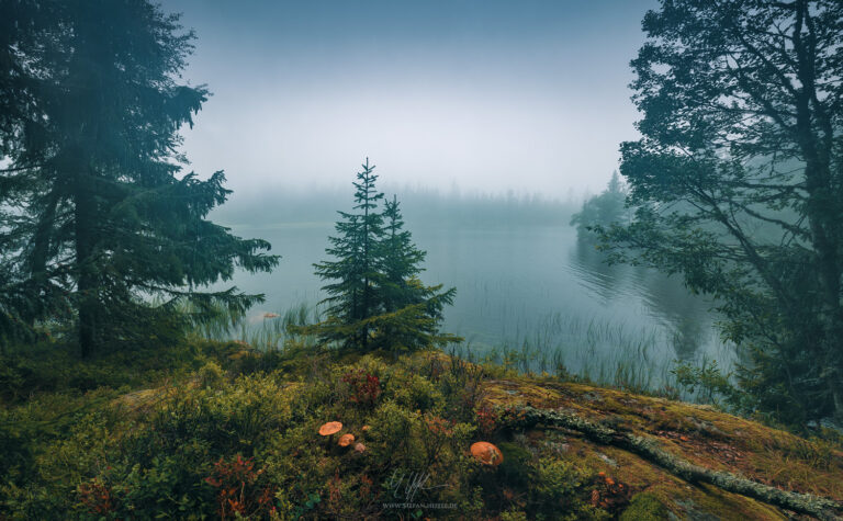 Landscapes Norway & Lofoten - Landscape Photography