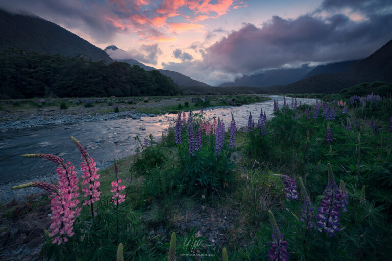 Landschaftsbilder Neuseeland - Landschaftsfotografie