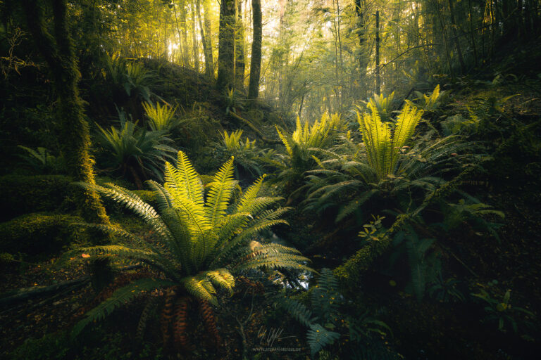 Landschaftsbilder Neuseeland - Landschaftsfotografie