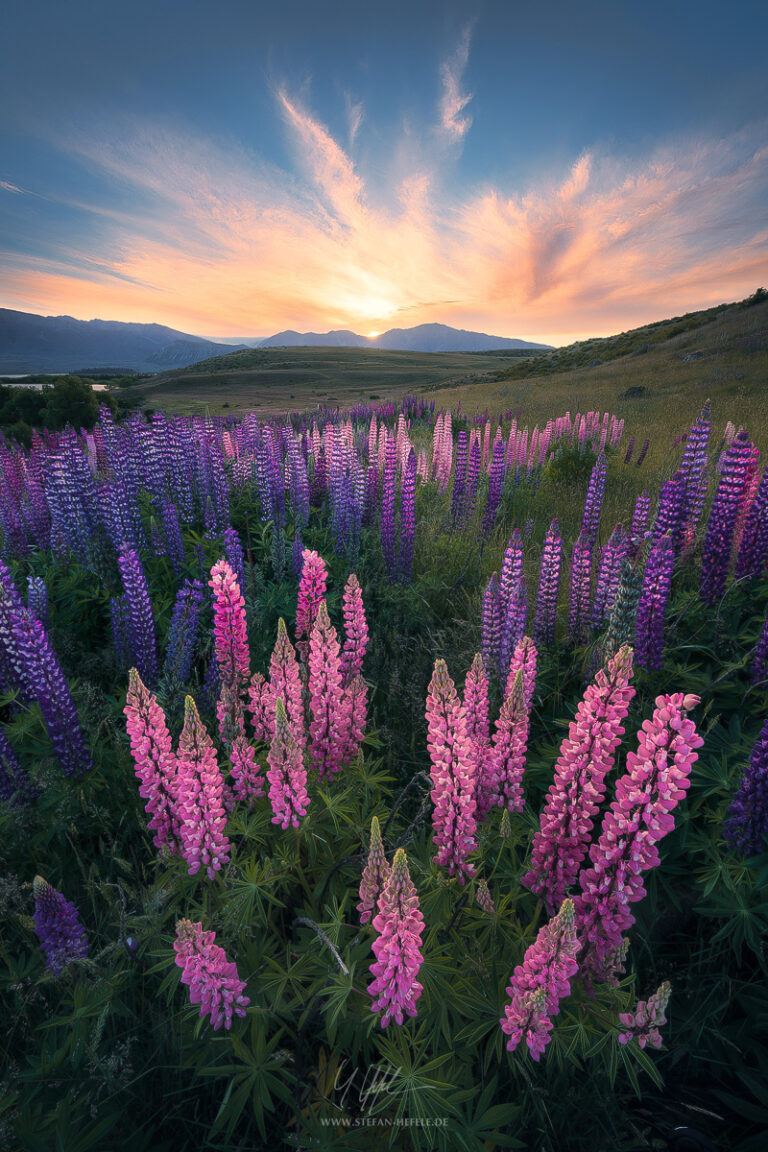 Landschaftsbilder Neuseeland - Landschaftsfotografie