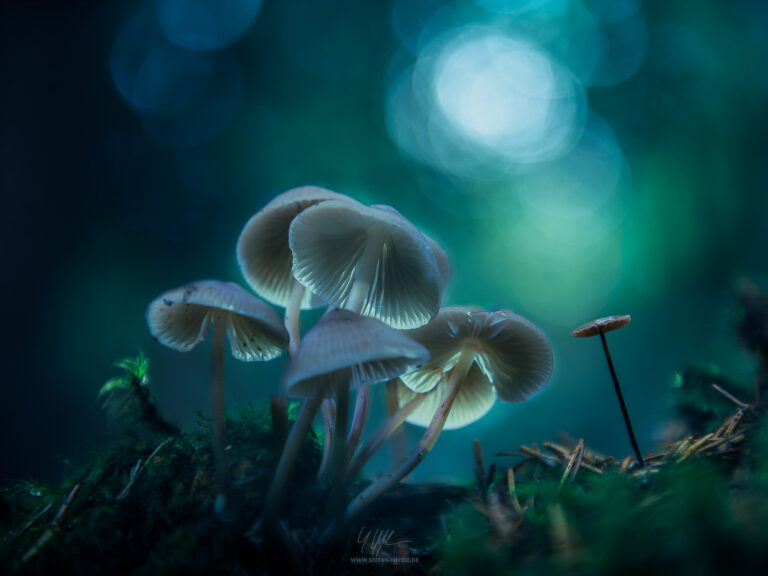 Lieblingsbilder Stefan Hefele - Landschaftsfotografie