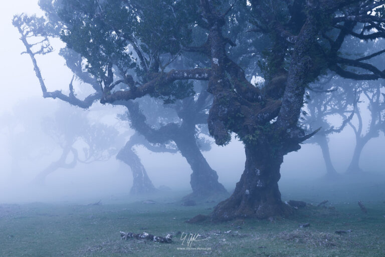 Landscapes Madeira - Portugal - Landscape photography