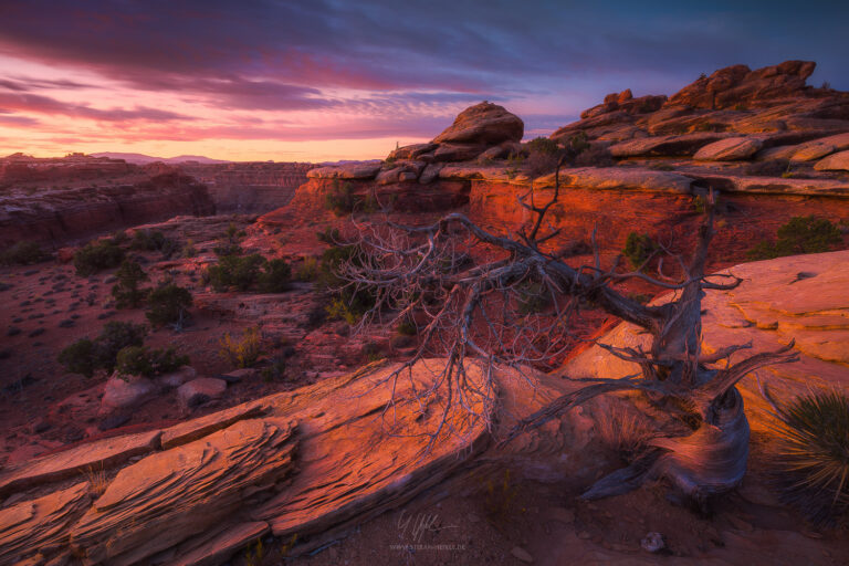 Landschaftsbilder USA - Landschaftsfotografie