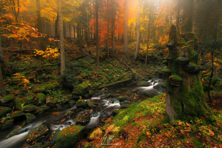 Landschaftsbilder Deutschland - Landschaftsfotografie