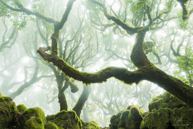 Landschaftsbilder Madeira - Portugal - Landschaftsfotografie