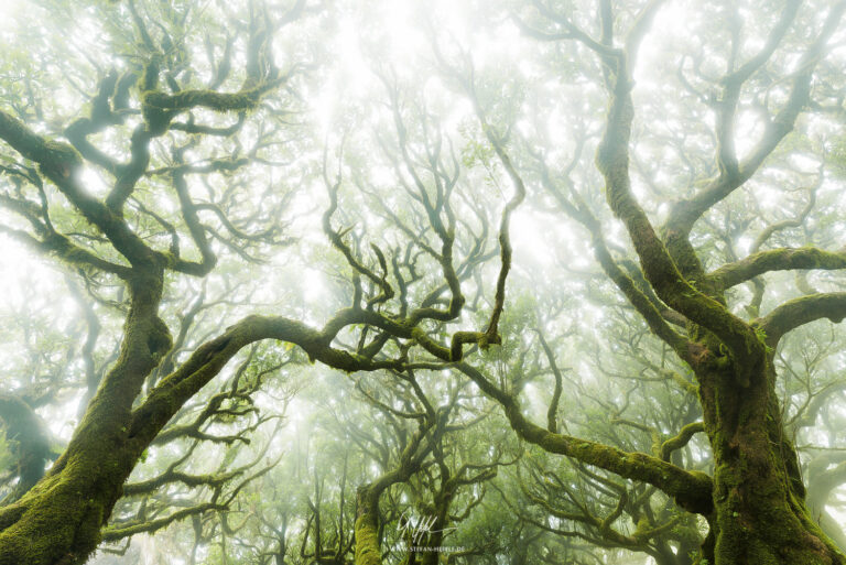 Landscapes Madeira - Portugal - Landscape photography