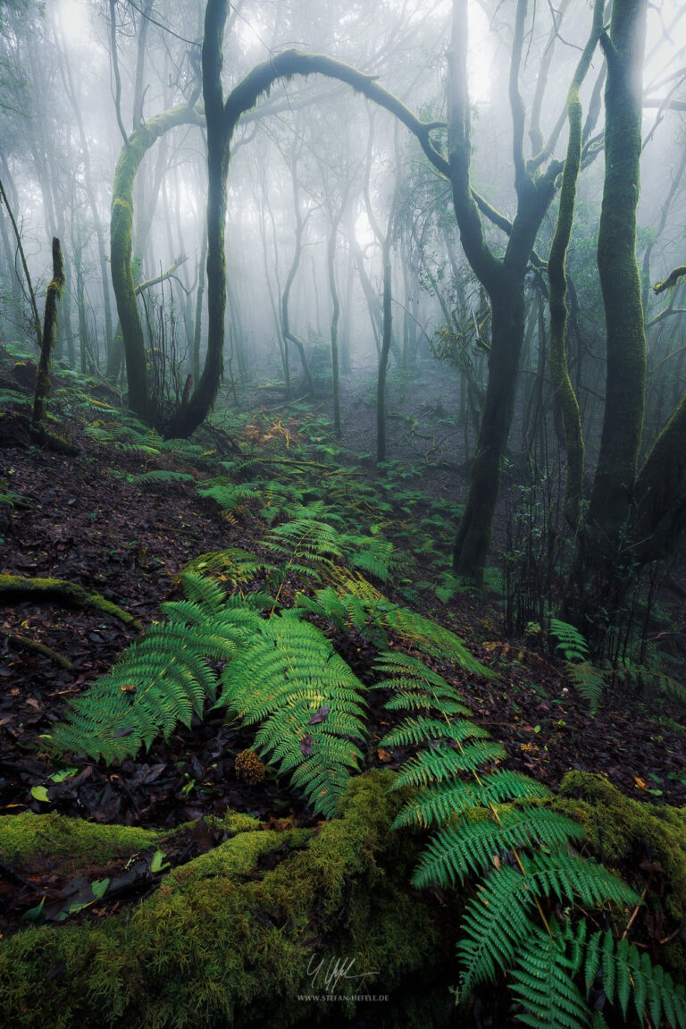 Landschaftsbilder La Gomera - Landschaftsfotografie