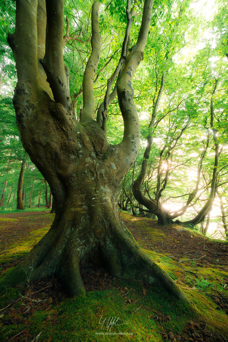 Landscapes Germany - Landscape Photography