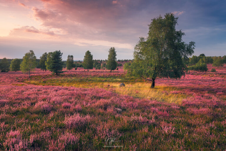 Landschaftsbilder Deutschland - Landschaftsfotografie