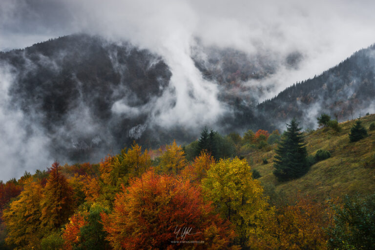 Carpathian Mountains