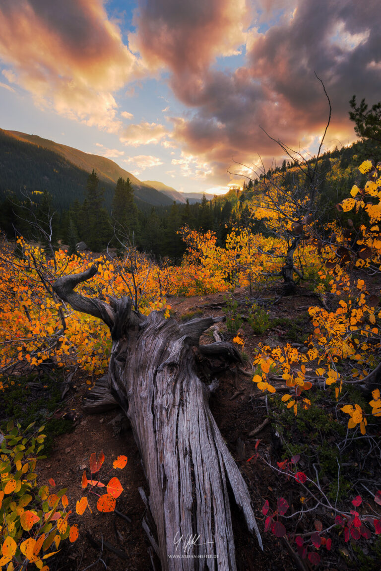 Landschaftsbilder USA - Landschaftsfotografie