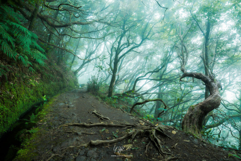 Landscapes Madeira - Portugal - Landscape photography