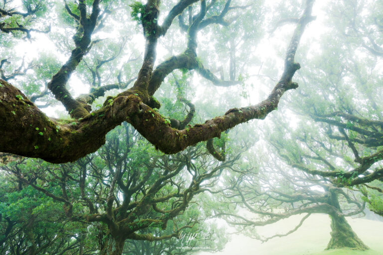 Landschaftsbilder Madeira - Portugal - Landschaftsfotografie