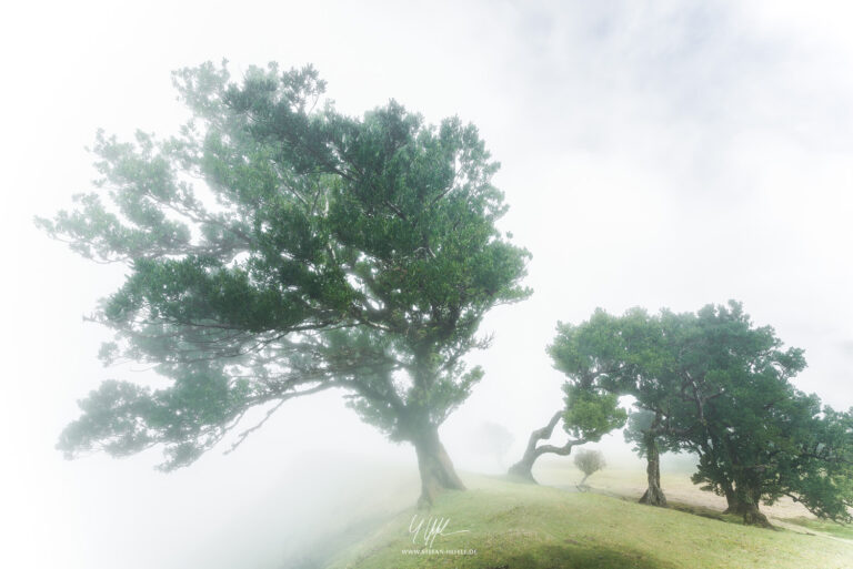 Landschaftsbilder Madeira - Portugal - Landschaftsfotografie