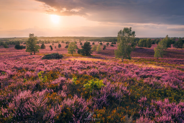 Landschaftsbilder Deutschland - Landschaftsfotografie