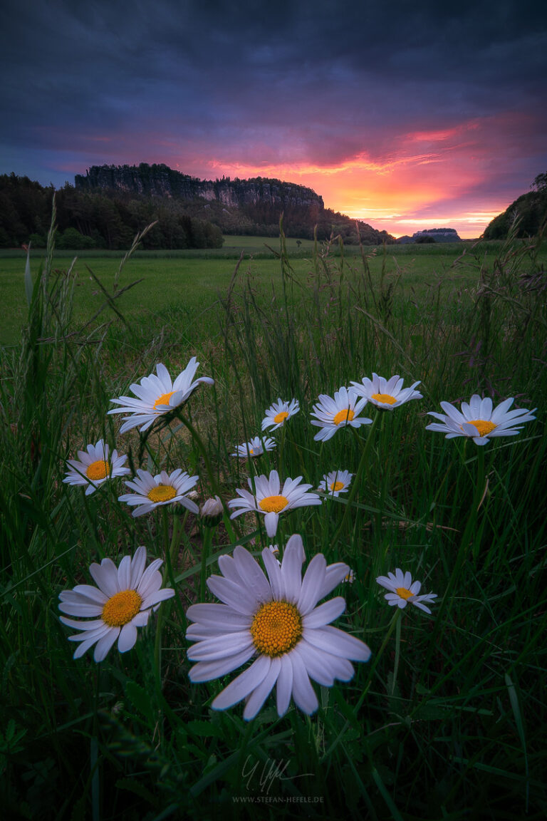 Landschaftsbilder Deutschland - Landschaftsfotografie