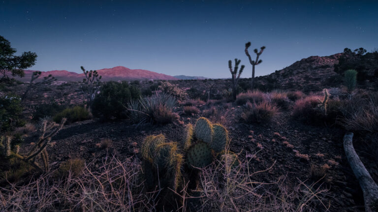 Landschaftsbilder USA - Landschaftsfotografie