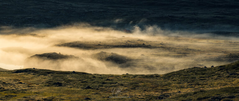 Landscapes Norway & Lofoten - Landscape Photography