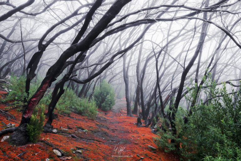 Landscapes La Gomera - Landscape Photography