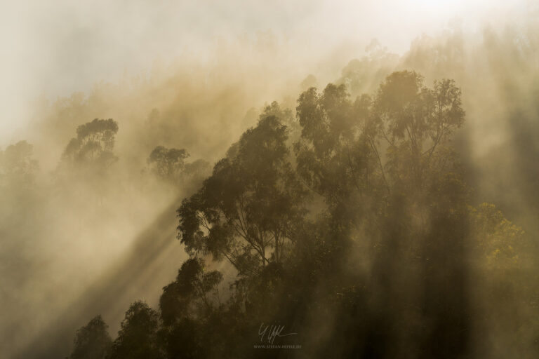 Landschaftsbilder Madeira - Portugal - Landschaftsfotografie