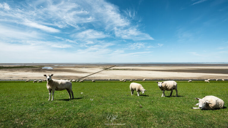 Landscapes Germany - Landscape Photography