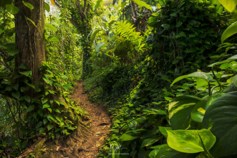 Landscapes Caribbean - Islands - Landscape Photography