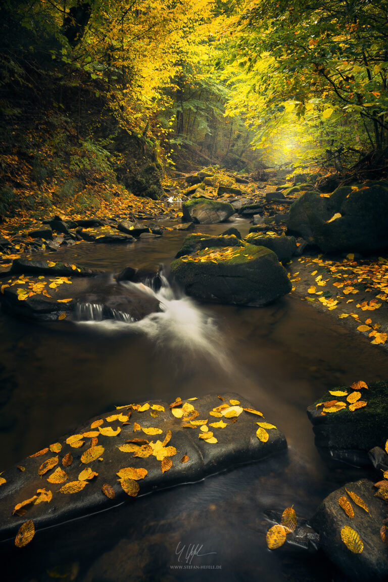 Carpathian Mountains