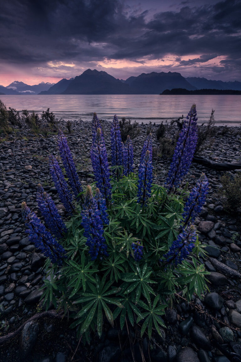 Landschaftsbilder Neuseeland - Landschaftsfotografie